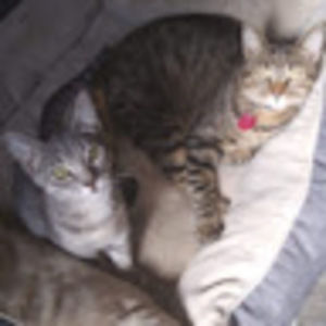 Meet your Posher, Joetta